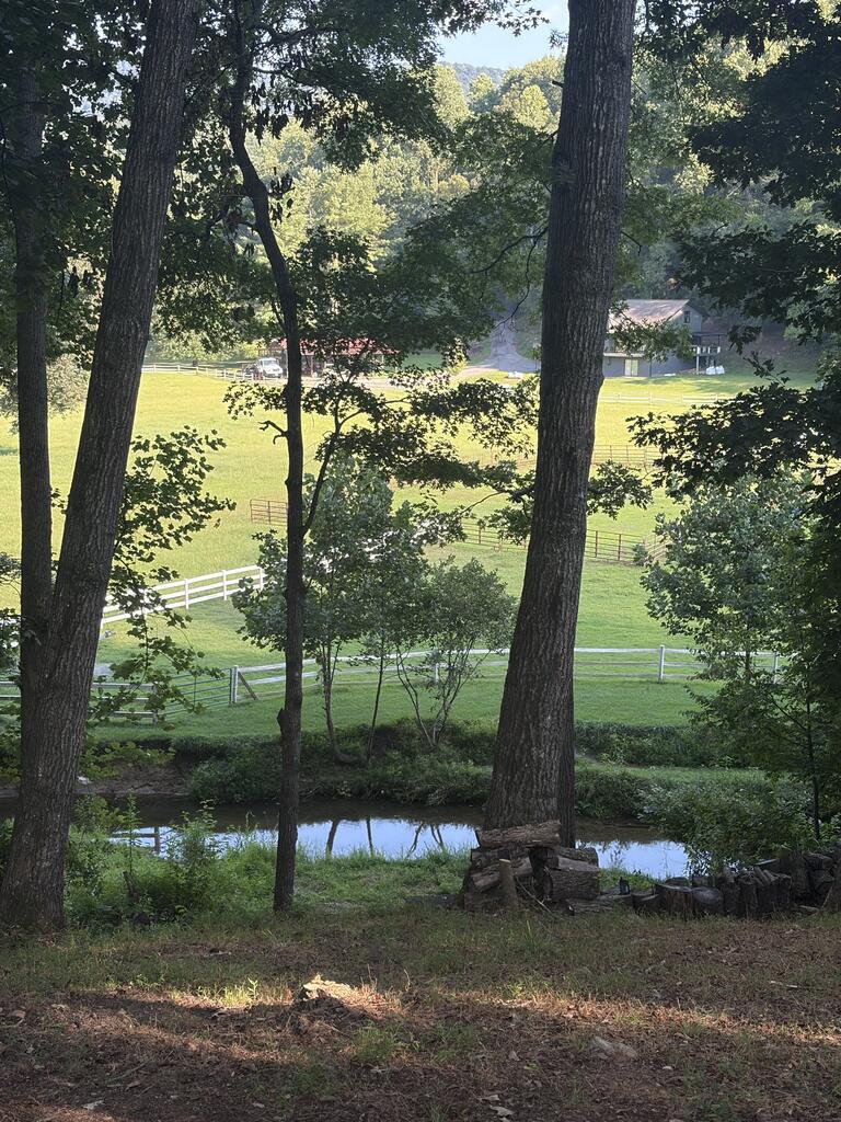 273 Coosa Valley Road Property Photo 68