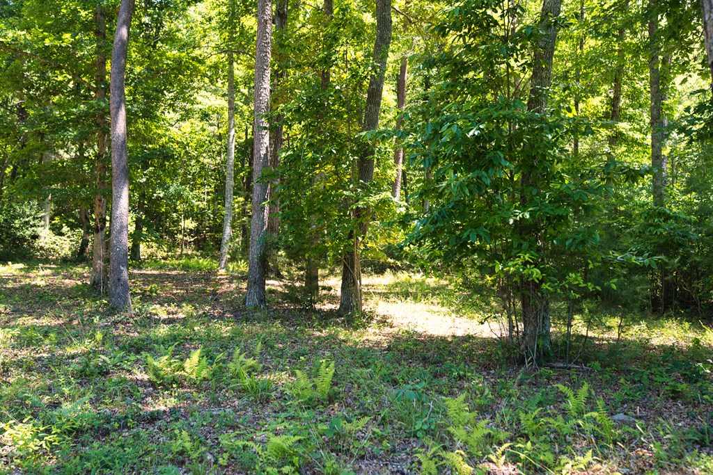 Lot 35 Hidden Harbor Property Photo 5