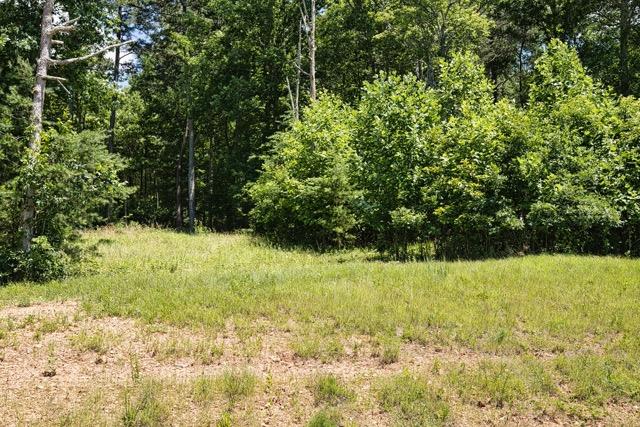 Lot 35 Hidden Harbor Property Photo 6