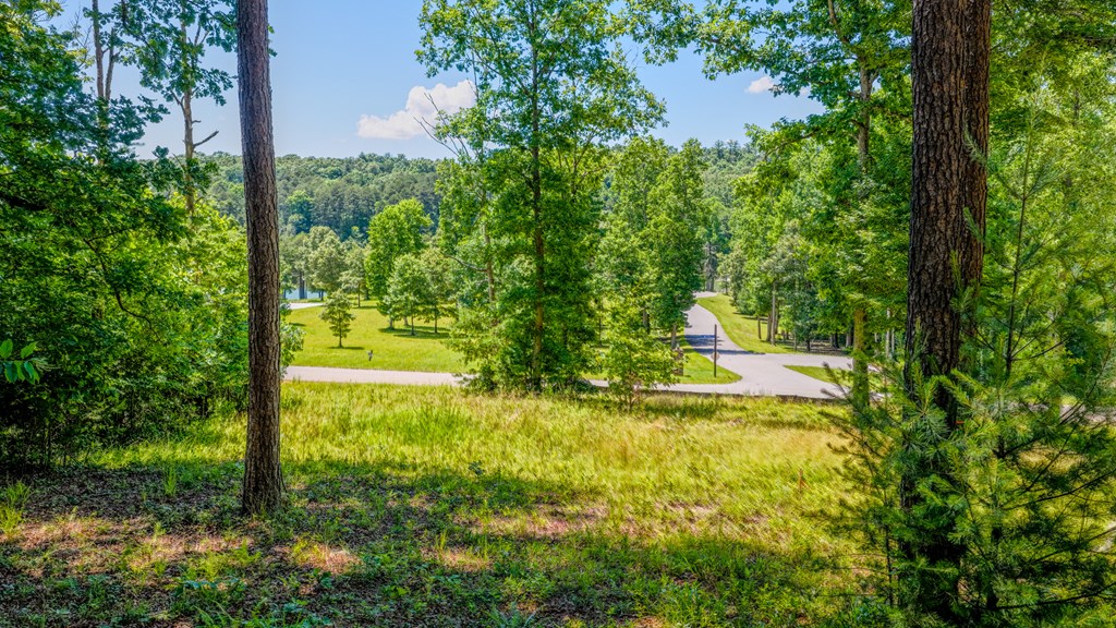 Lot 35 Hidden Harbor Property Photo 7