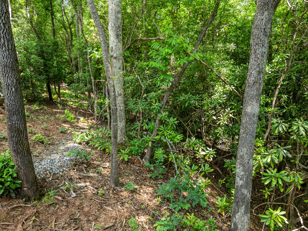 297 Summitt Lane Property Photo 20