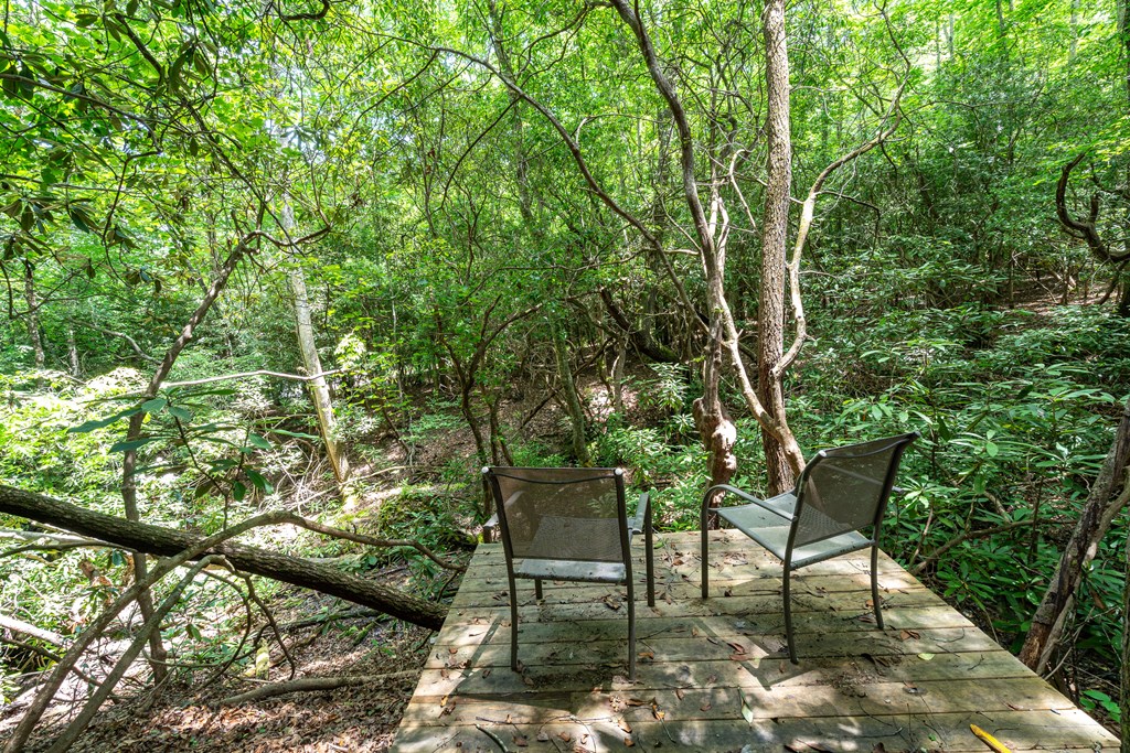 297 Summitt Lane Property Photo 22