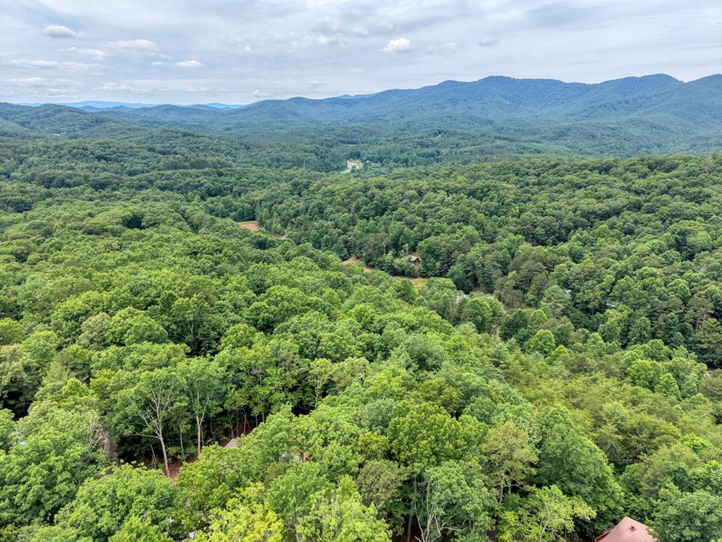 664 High Ridge Road Property Photo 39