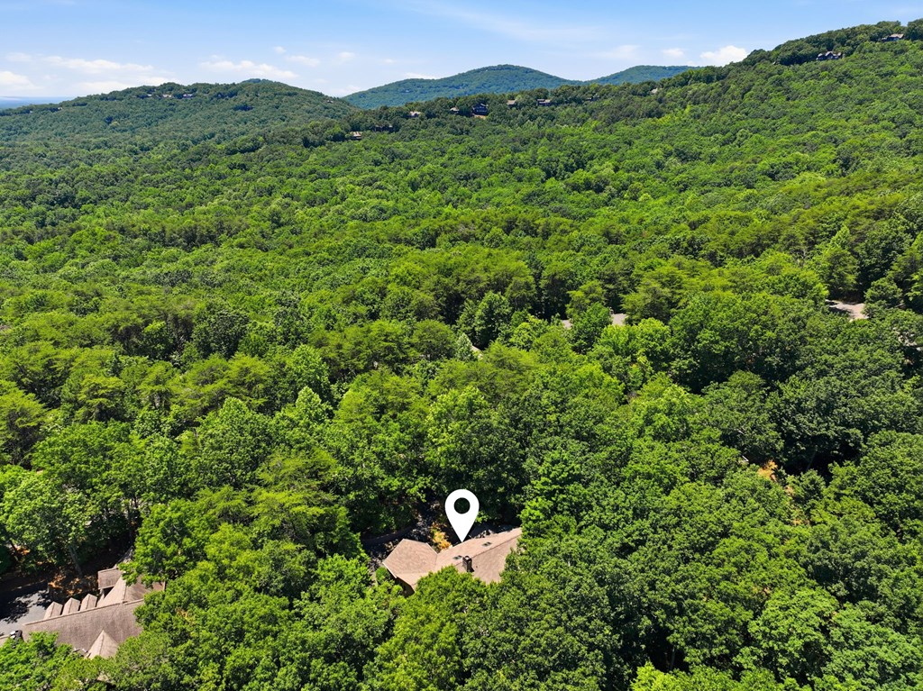 532 Cherokee Trl Property Photo 51