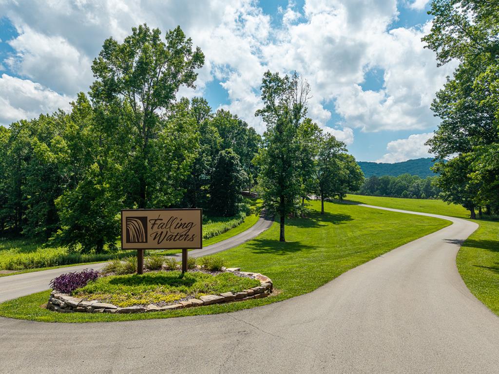 1252 Mountainside Parkway Property Photo 42