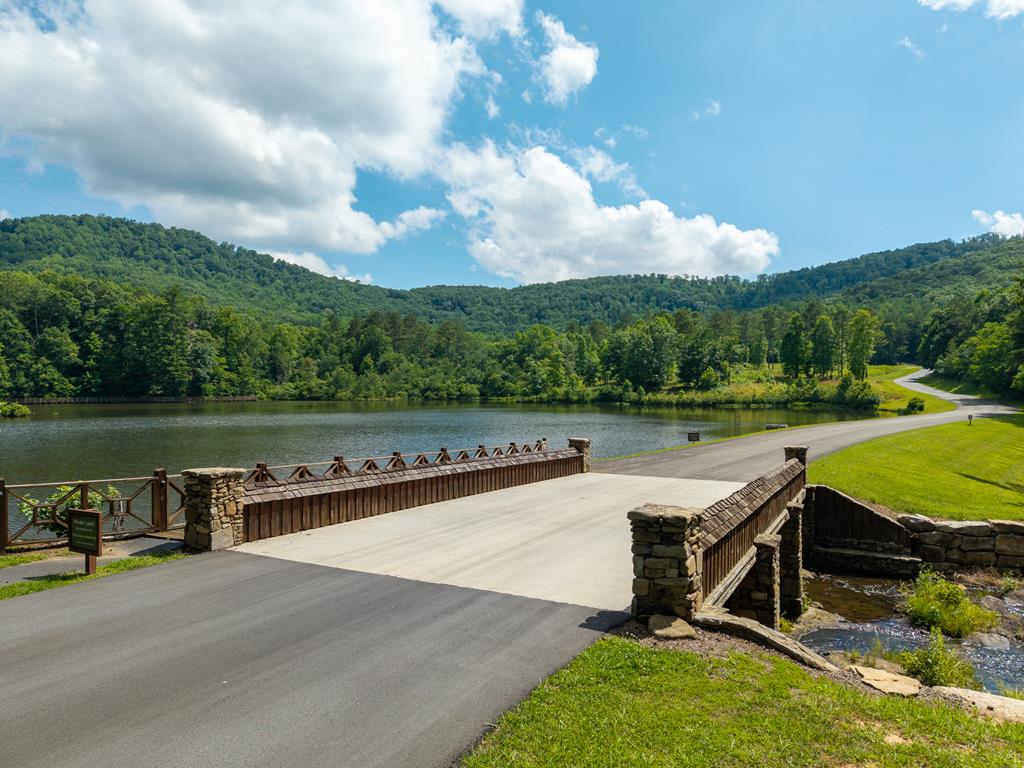 1252 Mountainside Parkway Property Photo 47