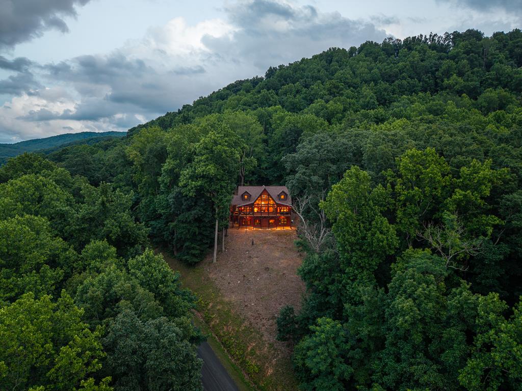 1252 Mountainside Parkway Property Photo 53