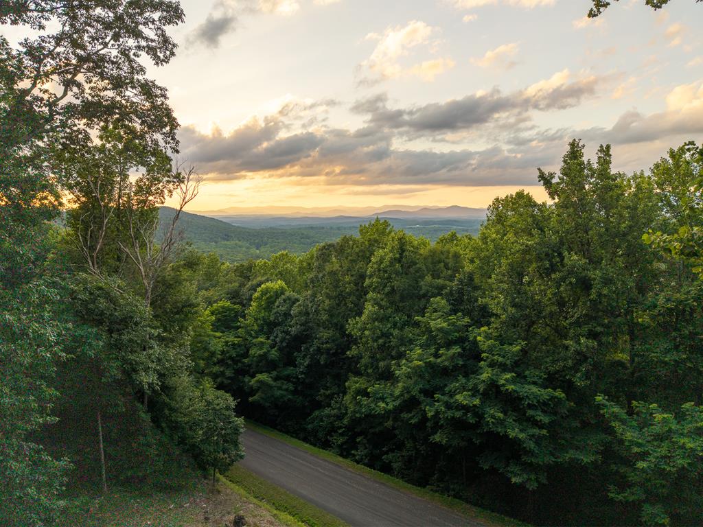 1252 Mountainside Parkway Property Photo 54