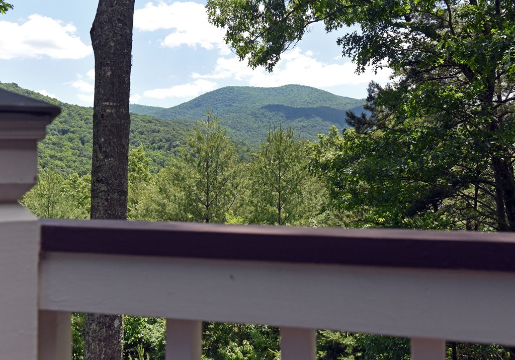 209 Moon Shadow Trail Property Photo 33