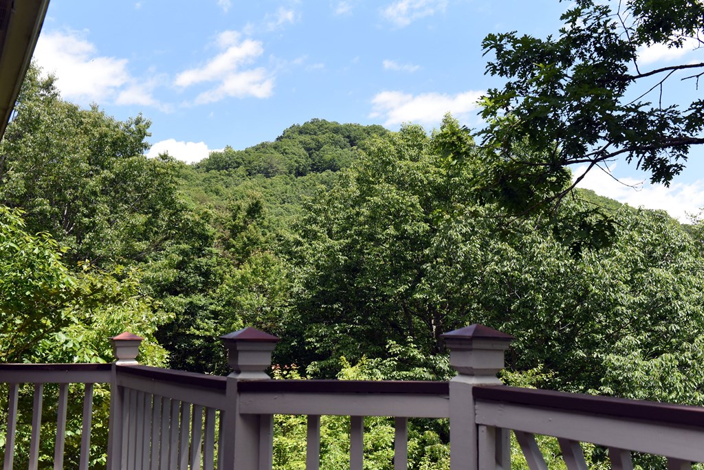 209 Moon Shadow Trail Property Photo 40