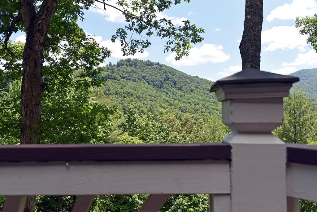 209 Moon Shadow Trail Property Photo 43