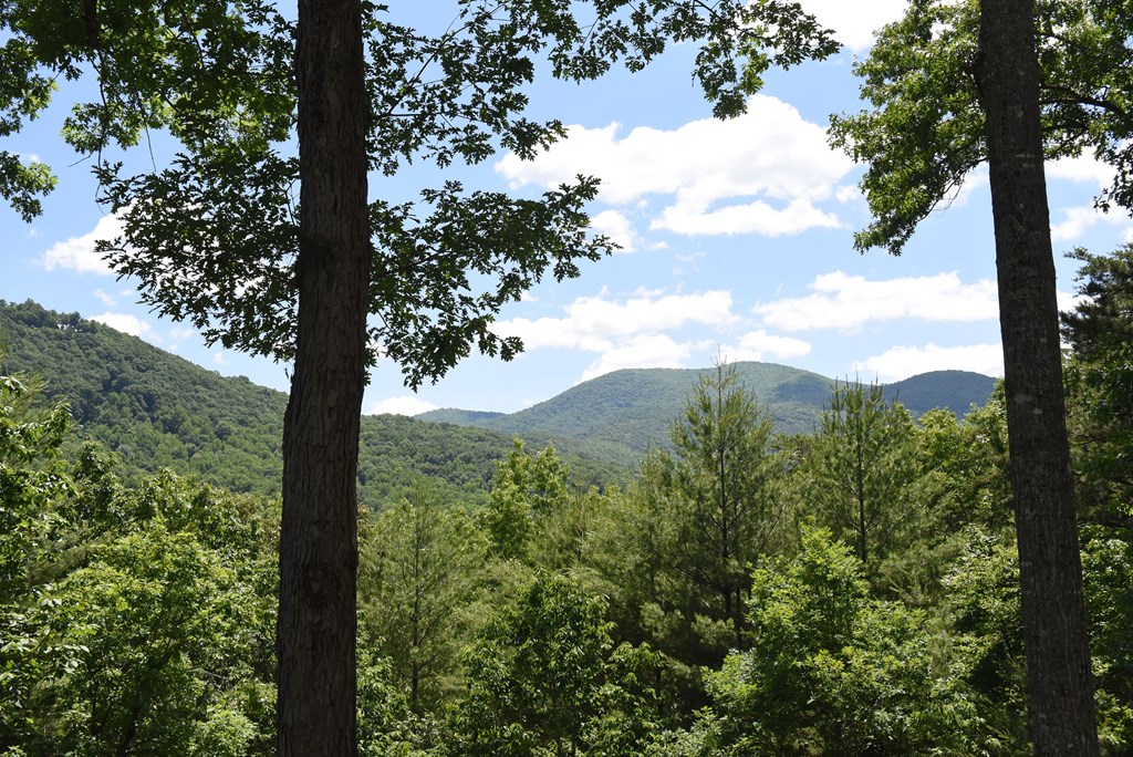 209 Moon Shadow Trail Property Photo 44