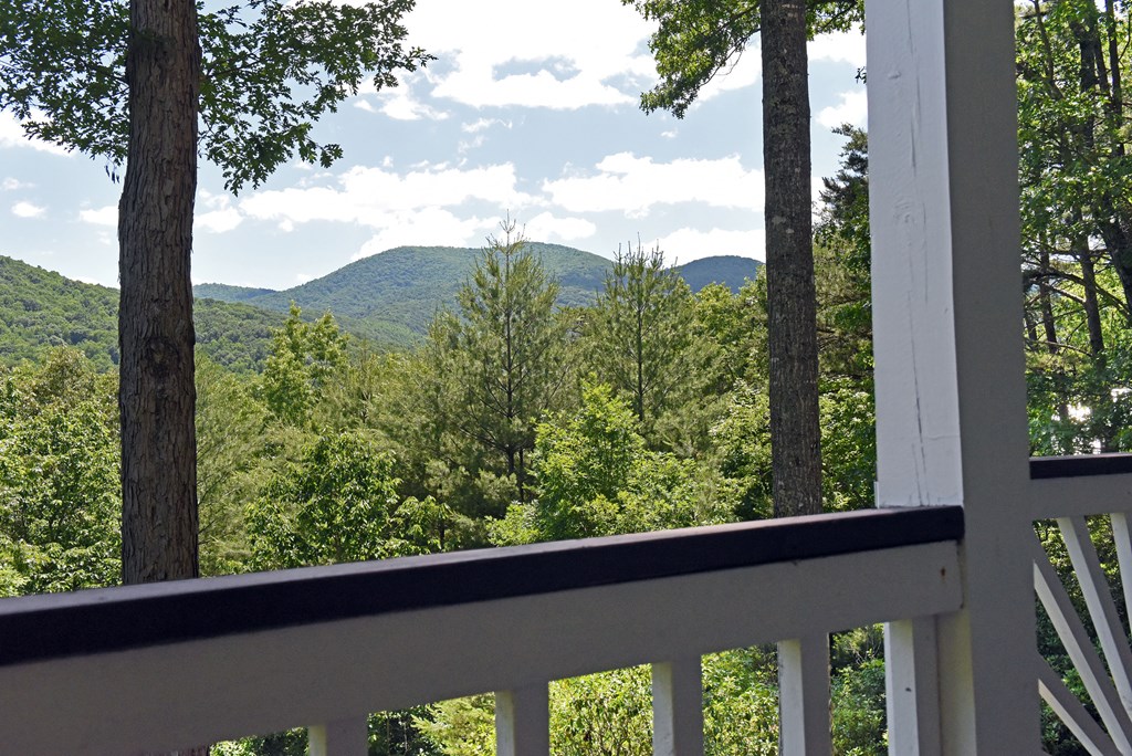 209 Moon Shadow Trail Property Photo 52