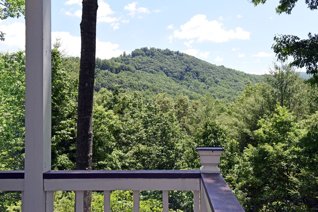 209 Moon Shadow Trail Property Photo 54