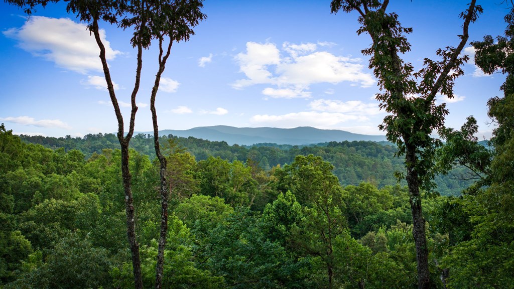 241 Wolf Creek Mountain Road Property Photo 43