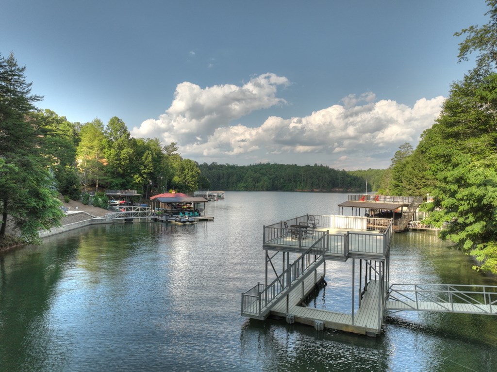 1820 Shady Falls Road Property Photo 4