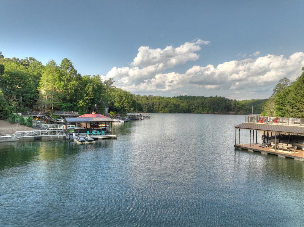 1820 Shady Falls Road Property Photo 14