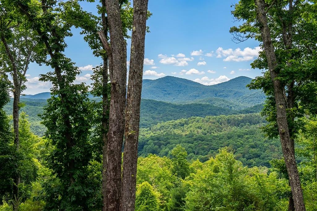 731 Native Trail Property Photo 4