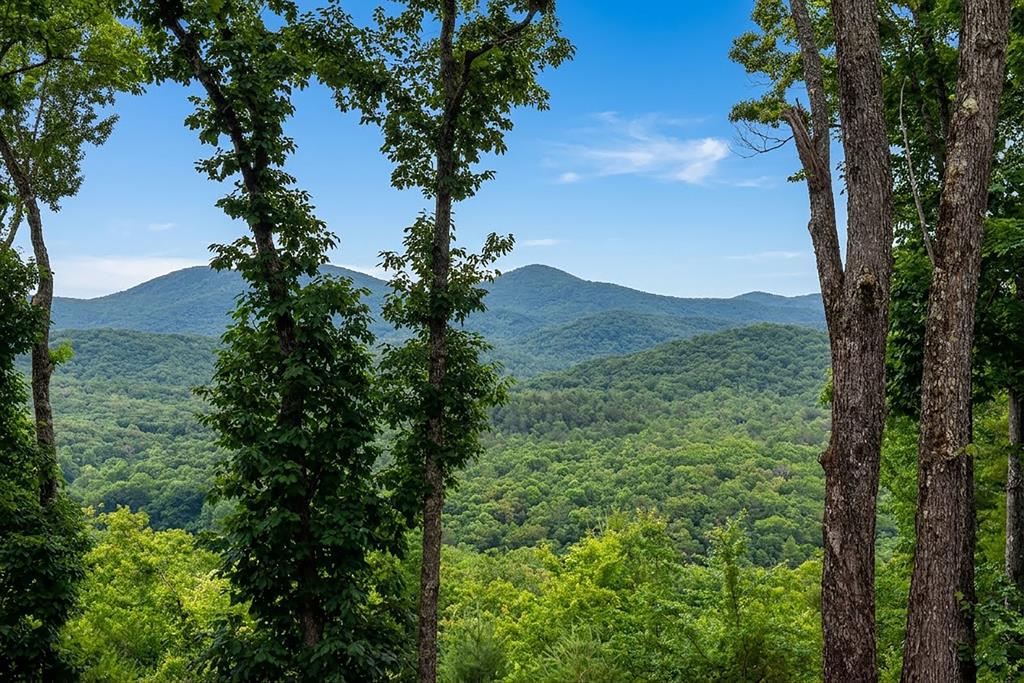 731 Native Trail Property Photo 17