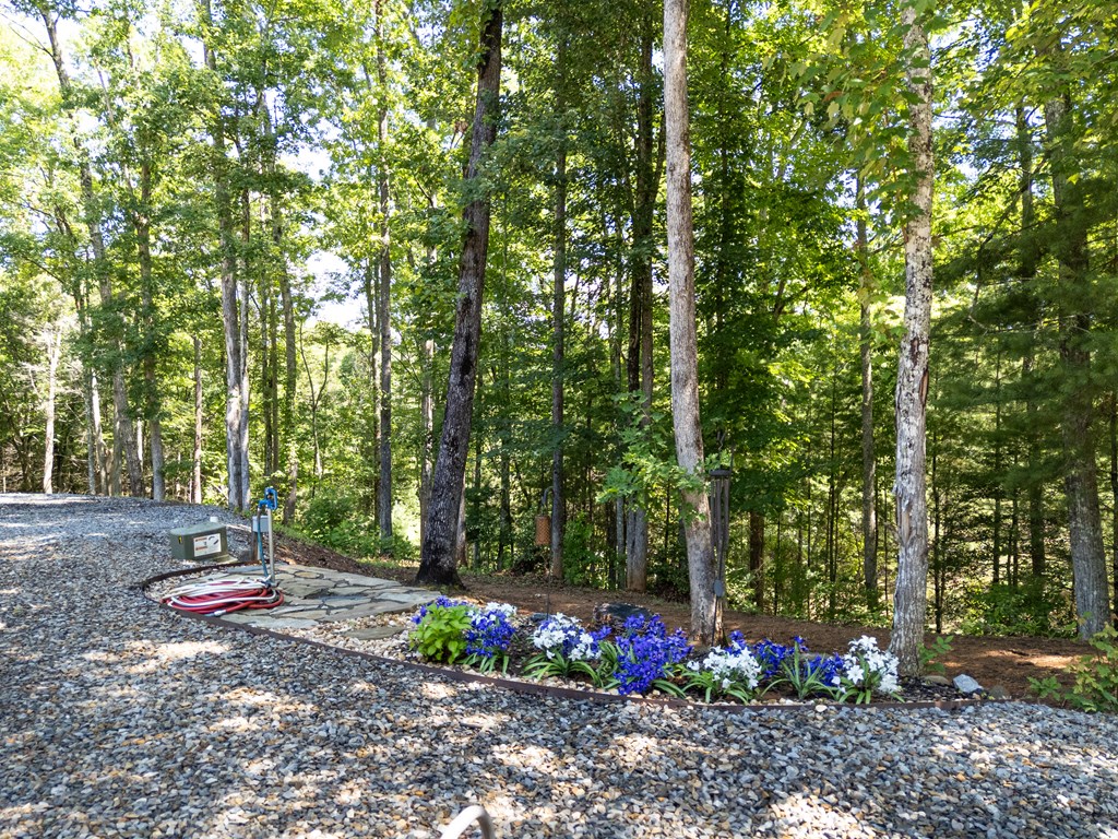 1198 Nature Valley Trail Property Photo 46