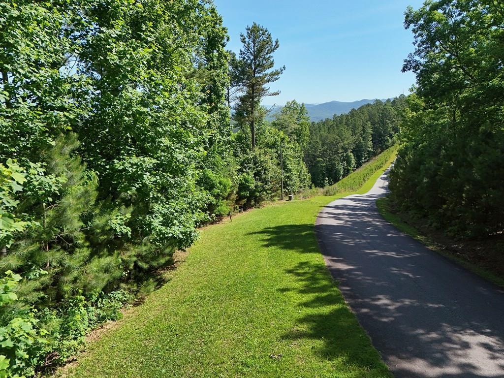 Lot 72 Thirteen Hundred Property Photo 3
