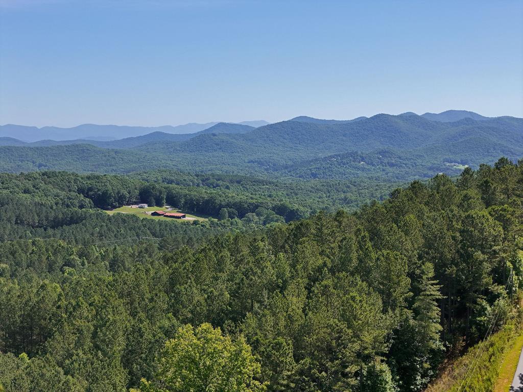 Lot 72 Thirteen Hundred Property Photo 7