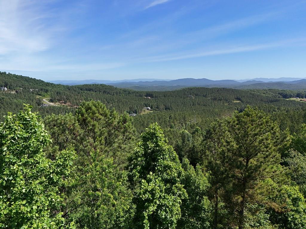 Lot 72 Thirteen Hundred Property Photo 8