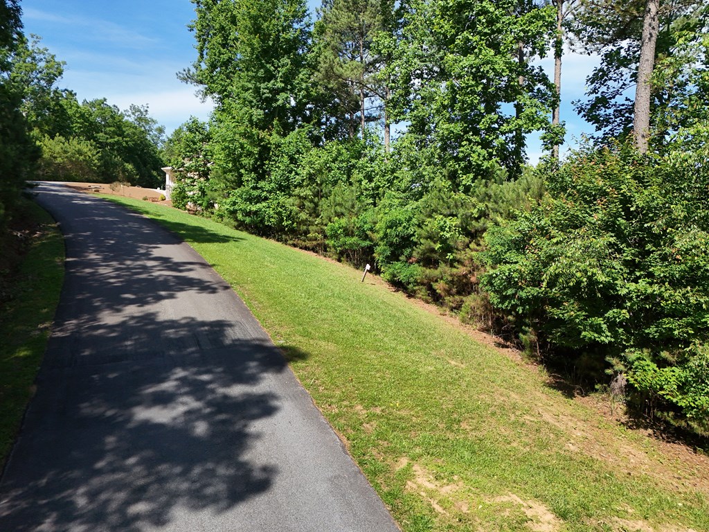 Lot 72 Thirteen Hundred Property Photo 38