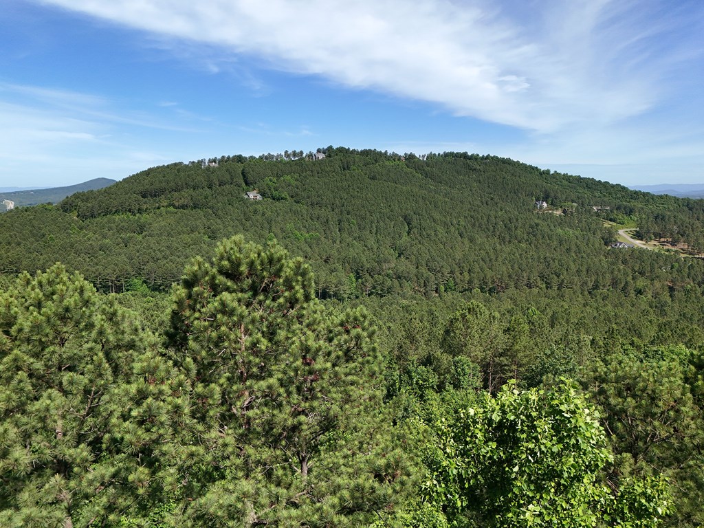 Lot 72 Thirteen Hundred Property Photo 42