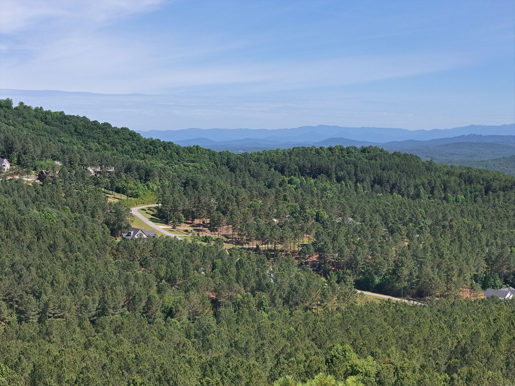 Lot 72 Thirteen Hundred Property Photo 43