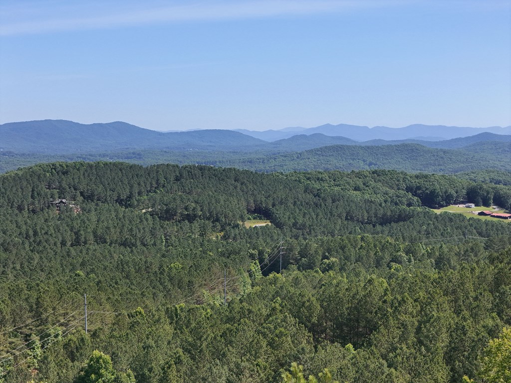 Lot 72 Thirteen Hundred Property Photo 45