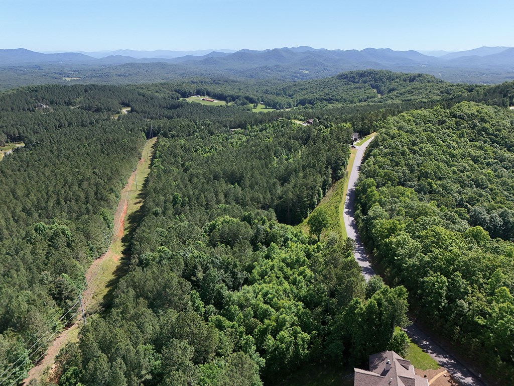 Lot 72 Thirteen Hundred Property Photo 46