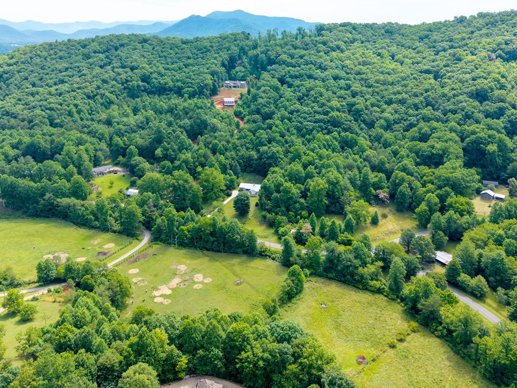 810 Hog Creek Road Property Photo 46