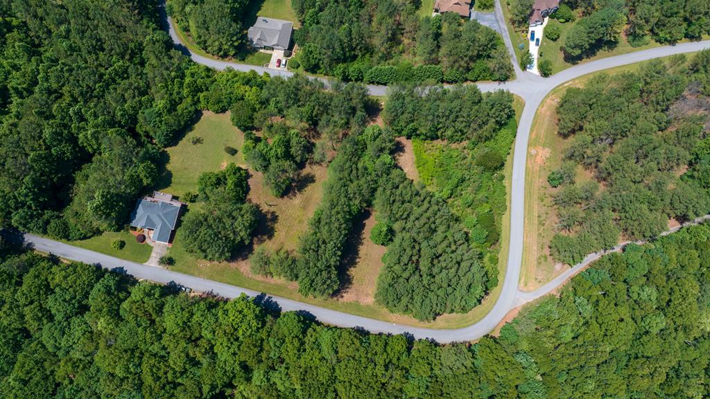 Lot 21 Loftis Mountain Property Photo 1
