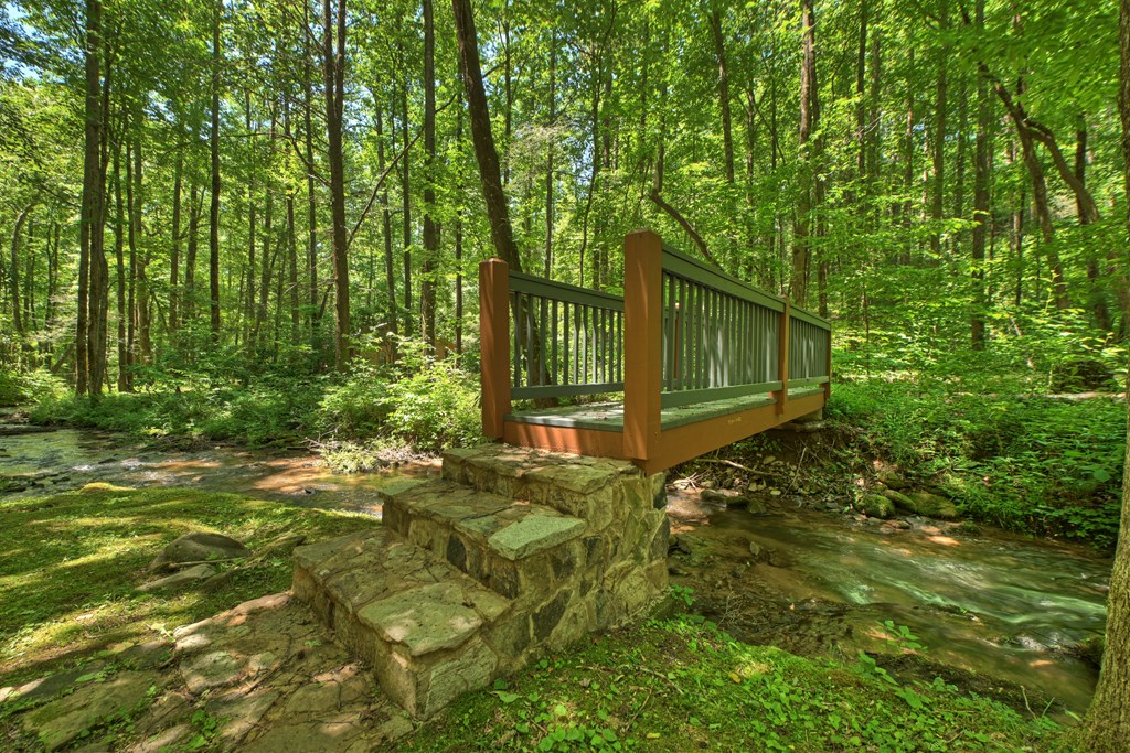 373 Barnes Creek Drive Property Photo 4
