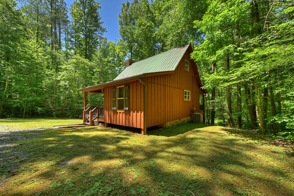 373 Barnes Creek Drive Property Photo 6