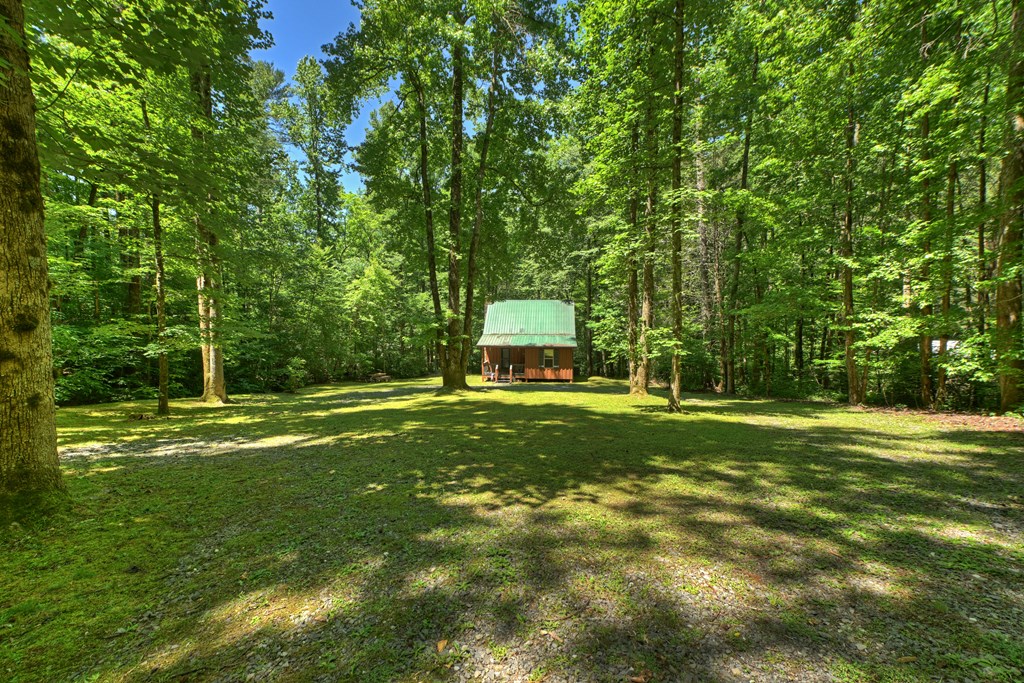 373 Barnes Creek Drive Property Photo 10
