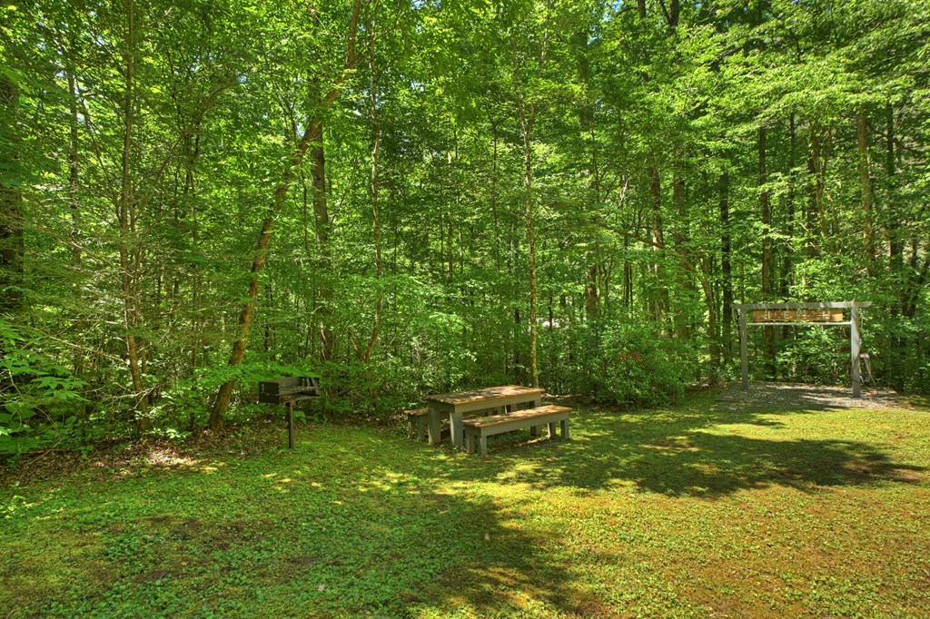 373 Barnes Creek Drive Property Photo 11