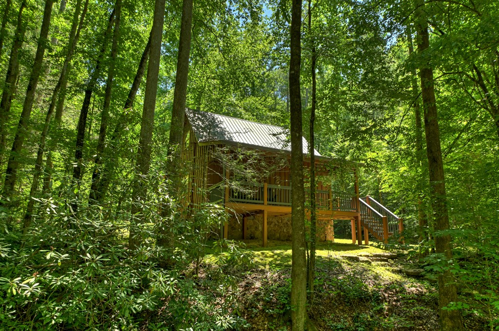 373 Barnes Creek Drive Property Photo 19