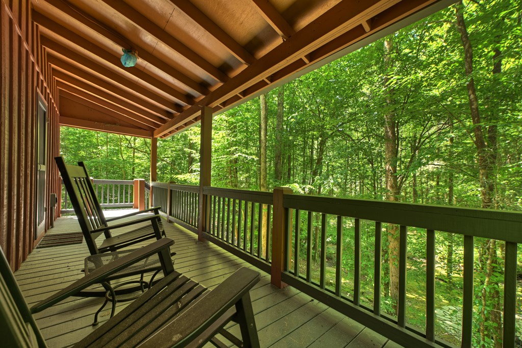 373 Barnes Creek Drive Property Photo 22