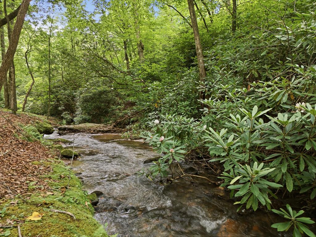 86 Pounding Mill Creek Property Photo 1