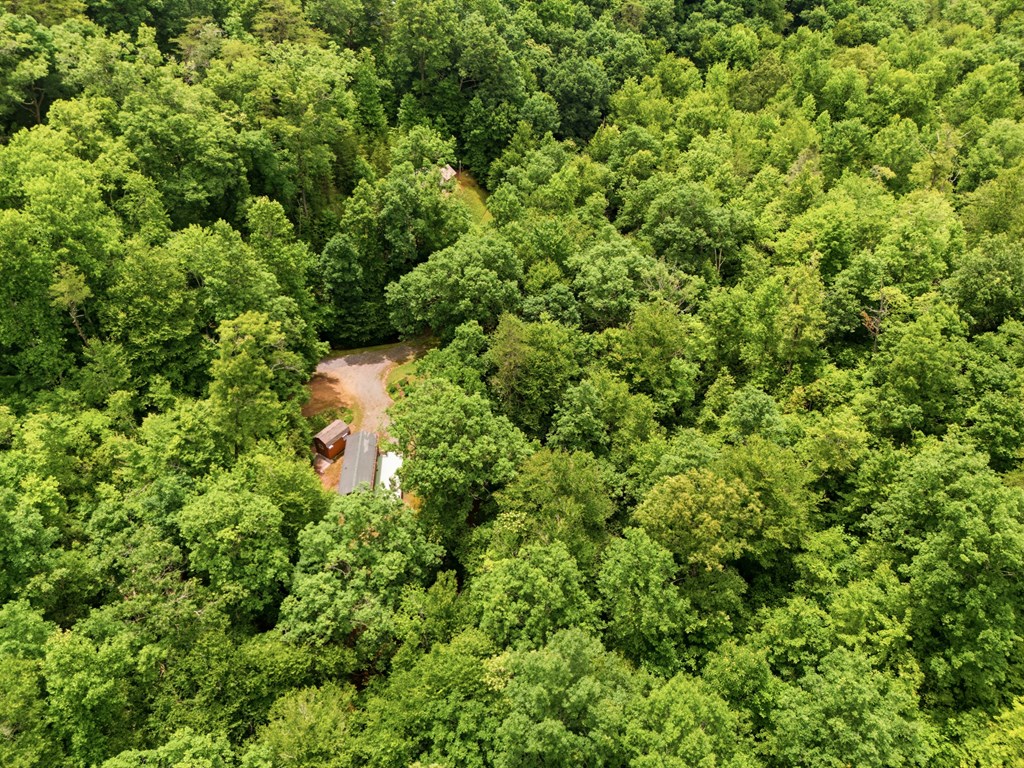 86 Pounding Mill Creek Property Photo 7