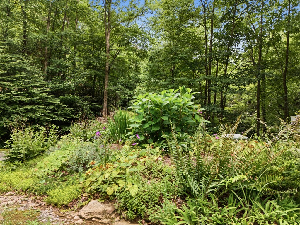 86 Pounding Mill Creek Property Photo 11