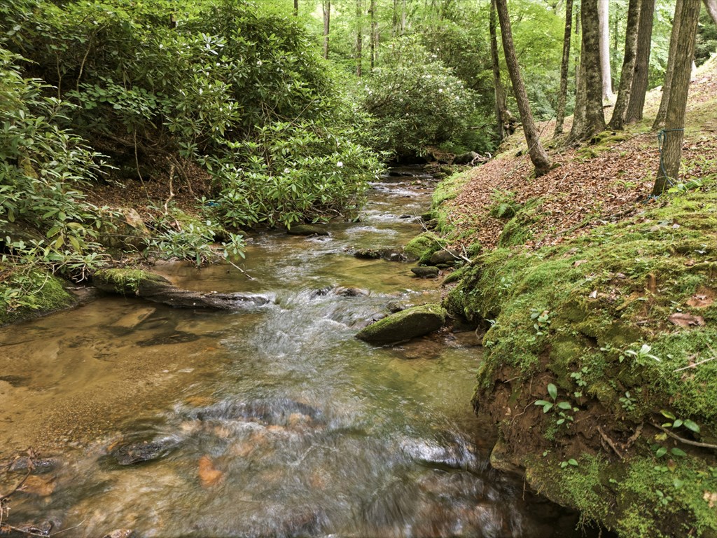 86 Pounding Mill Creek Property Photo 12