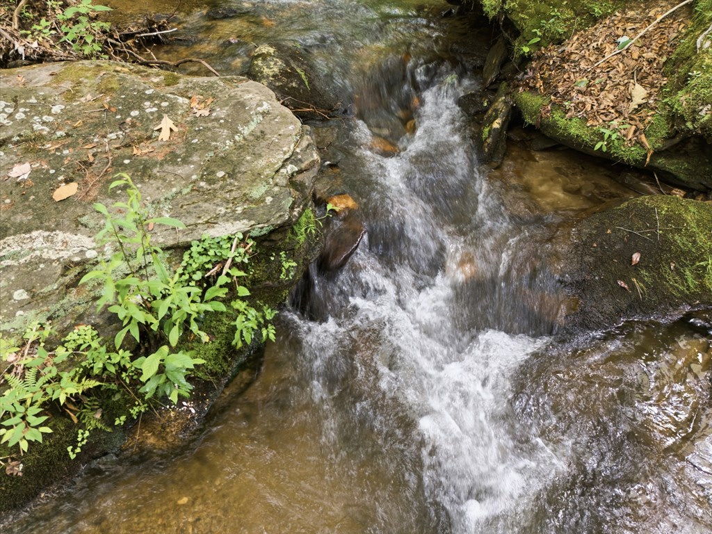86 Pounding Mill Creek Property Photo 13