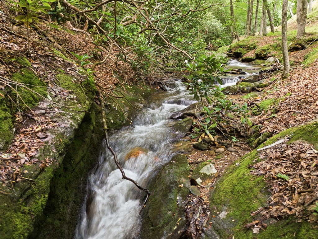 86 Pounding Mill Creek Property Photo 14