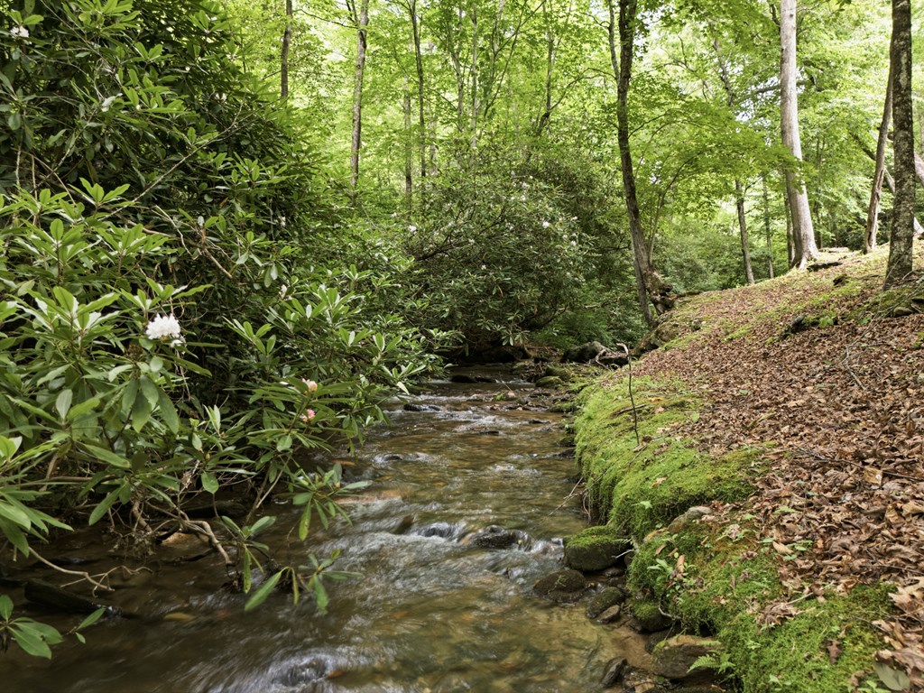 86 Pounding Mill Creek Property Photo 15