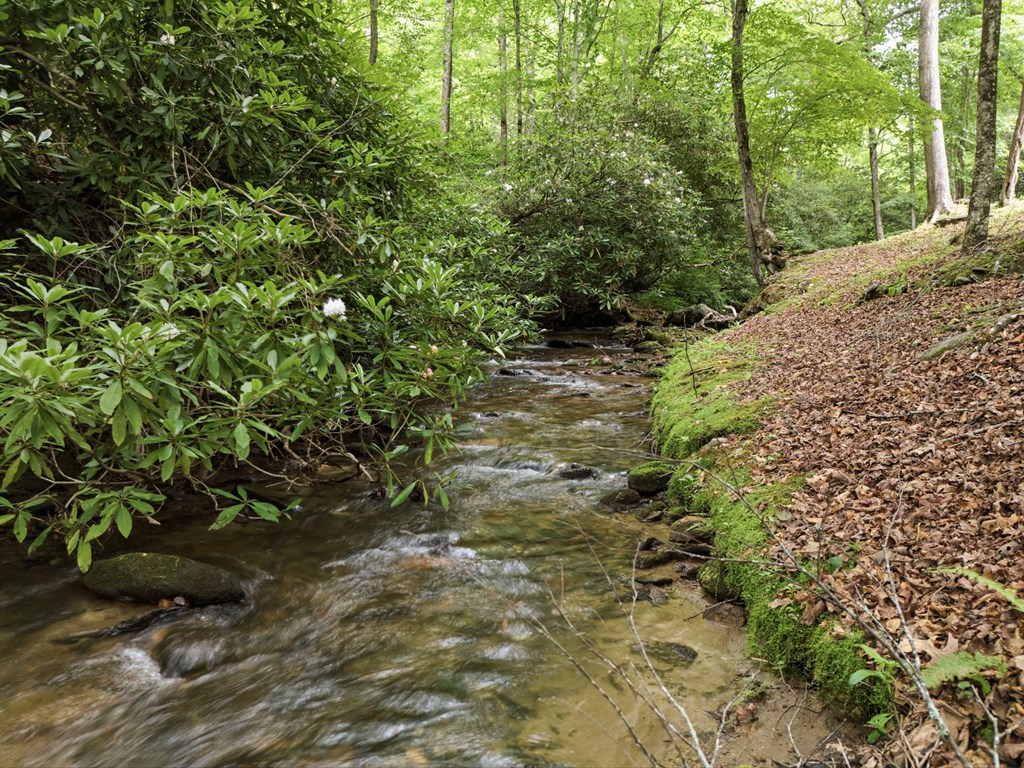 86 Pounding Mill Creek Property Photo 16