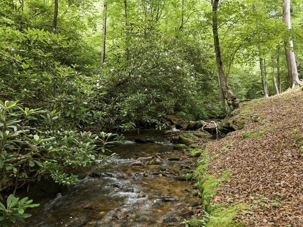 86 Pounding Mill Creek Property Photo 17