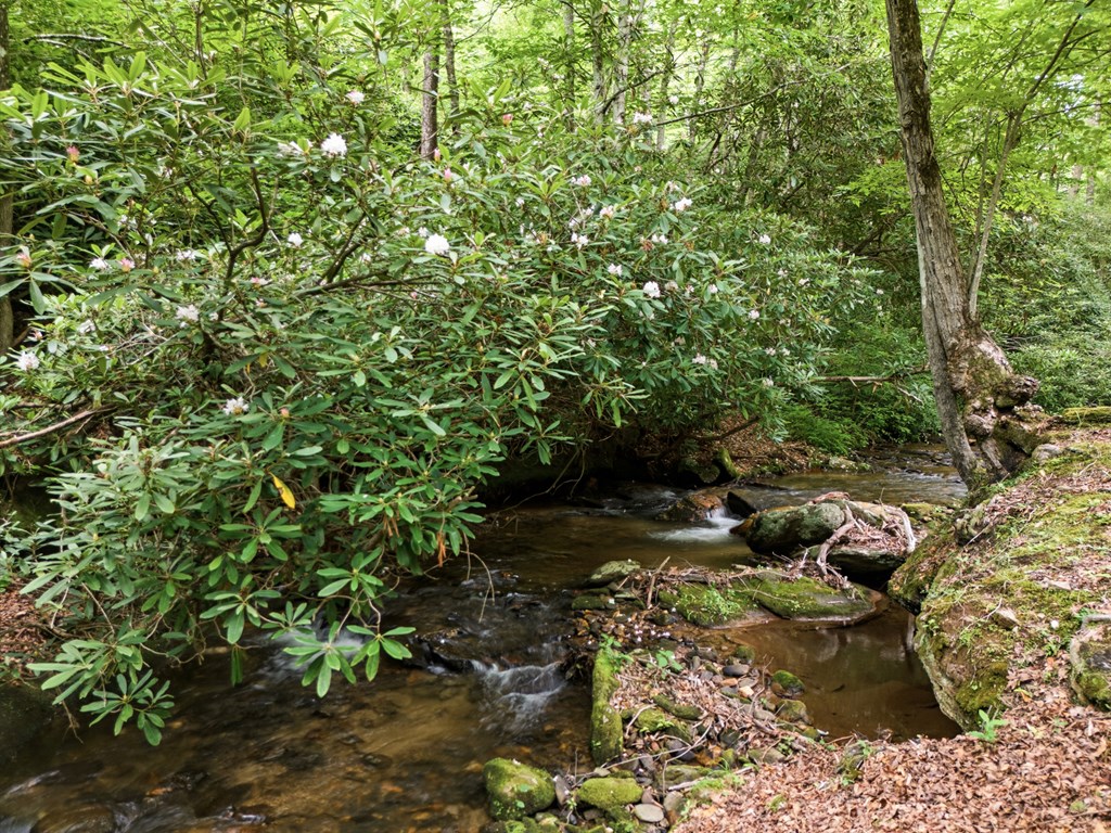 86 Pounding Mill Creek Property Photo 19